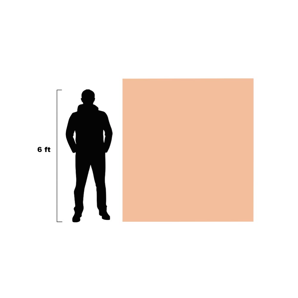 6.6’ x 5.9’ x 3mm Fitzpatrick Skin Tone 2 Huge Canvas - A Pound of Flesh