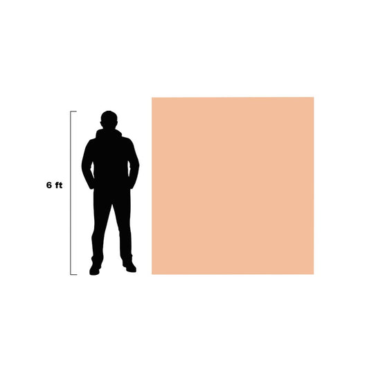 6.6’ x 5.9’ x 3mm Fitzpatrick Skin Tone 2 Huge Canvas - A Pound of Flesh