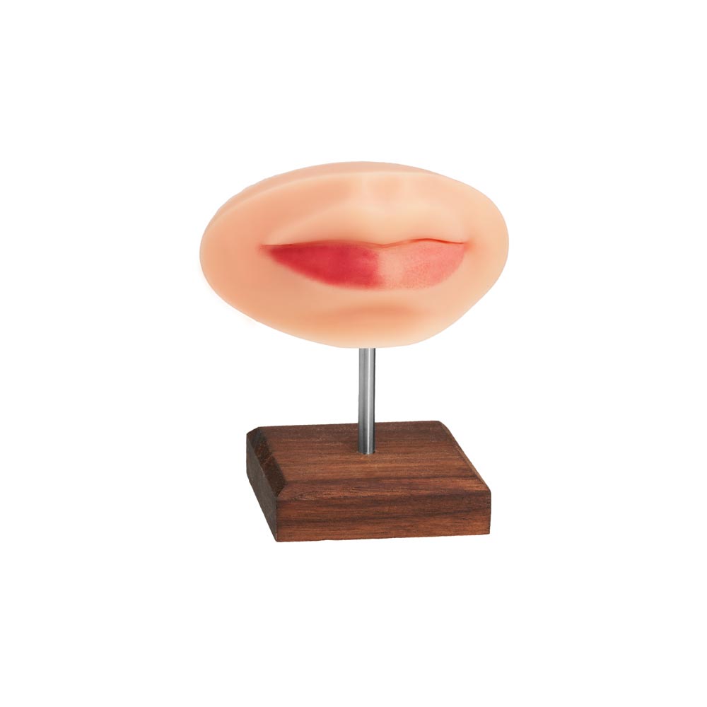 PMU Practice Lips + Piercing Body Bit — Pick Skin Tone - A Pound of Flesh