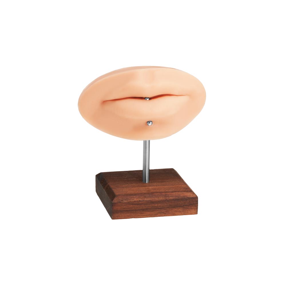 PMU Practice Lips + Piercing Body Bit — Pick Skin Tone - A Pound of Flesh