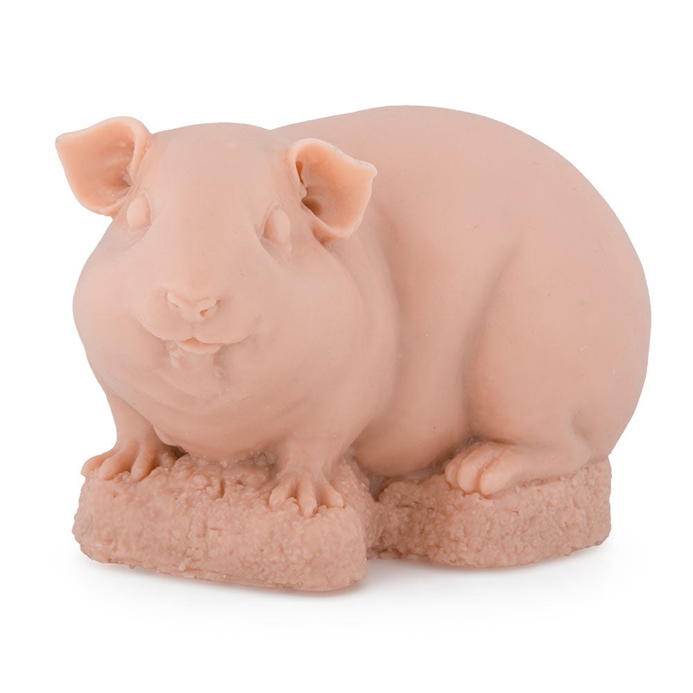 Guinea Pig (Thumbnail)