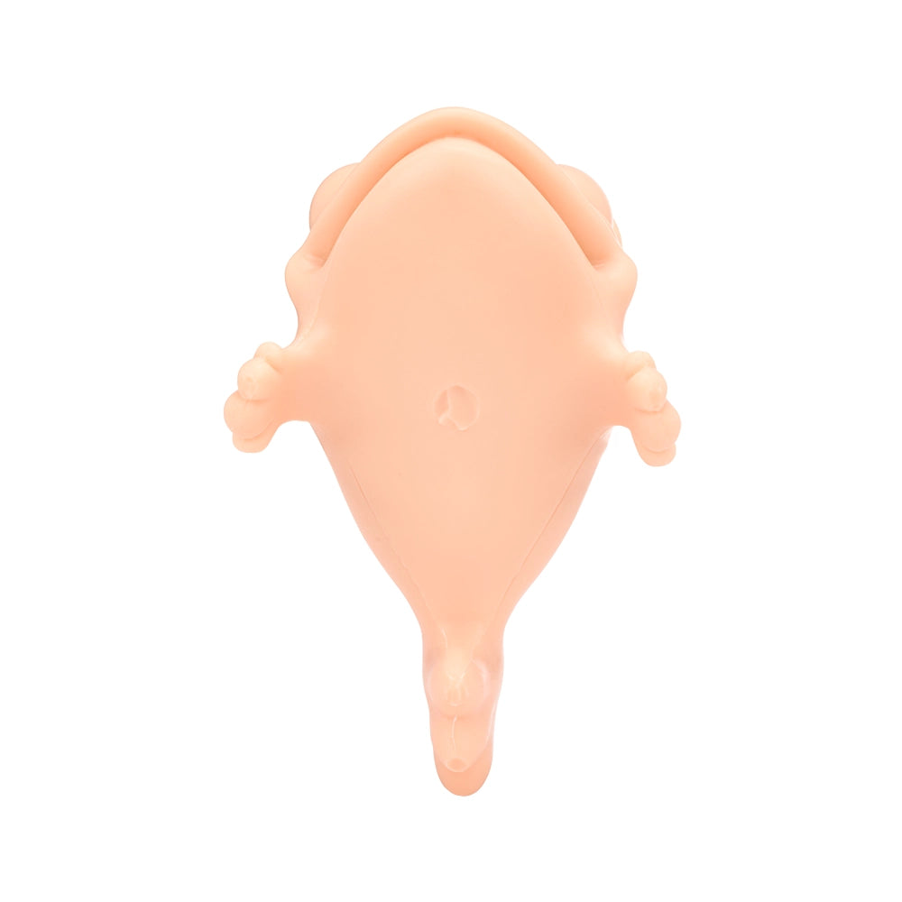 Nuclear Fish