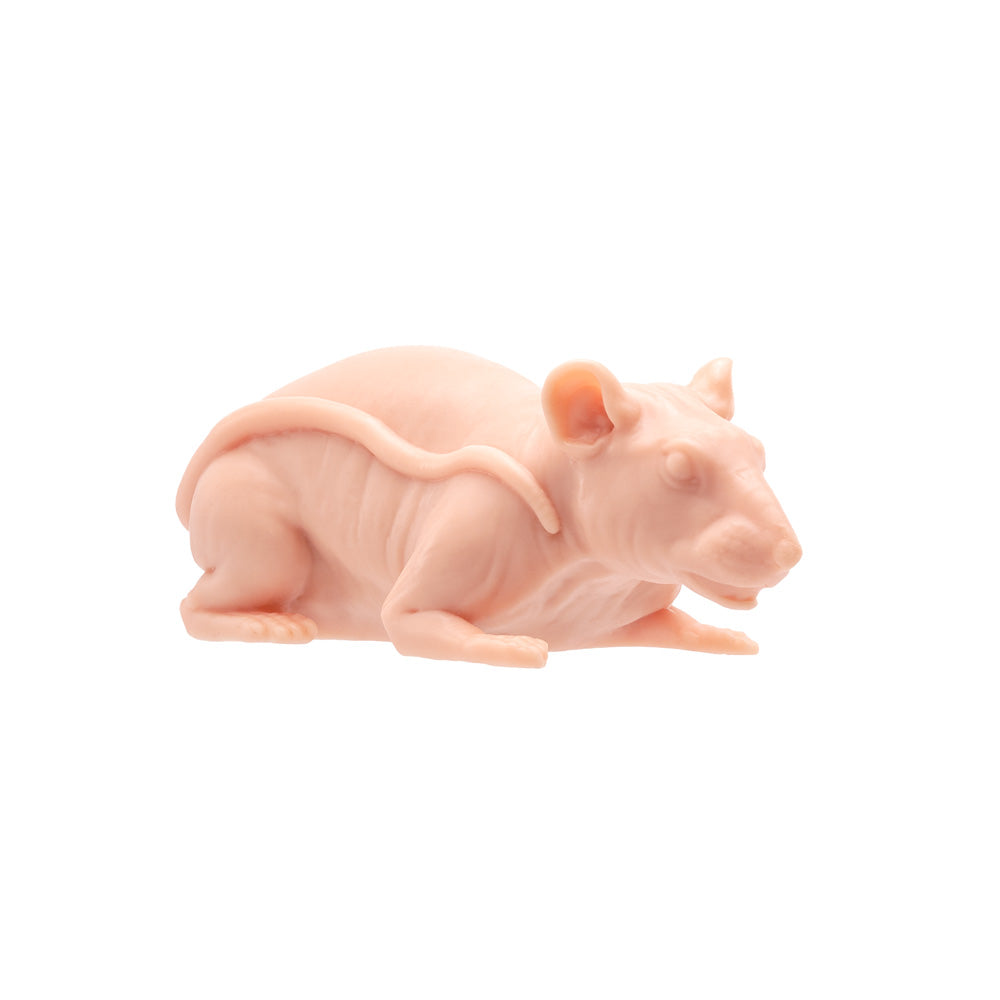 A Pound of Flesh Tattooable Naked Rat