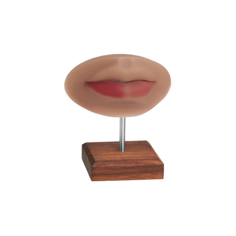 PMU Practice Lips + Piercing Body Bit — Fitzpatrick Tone 4