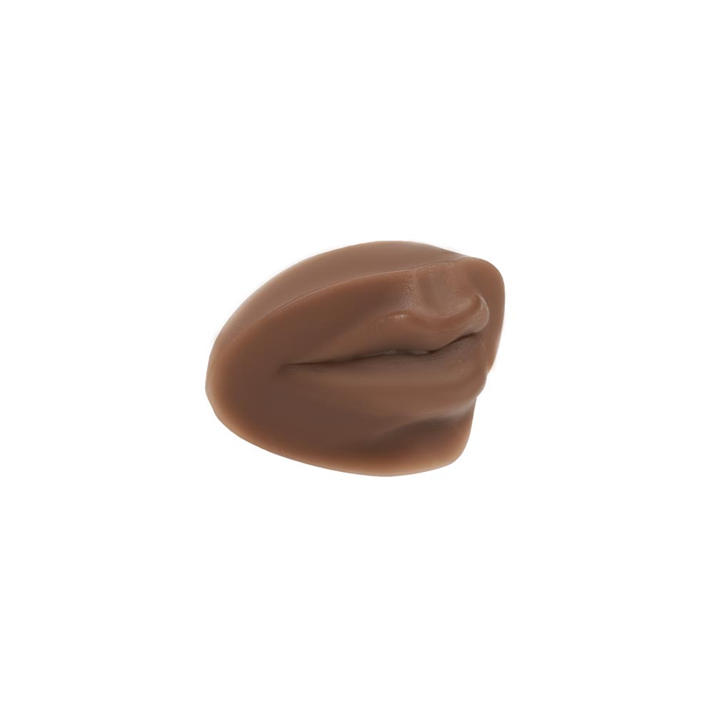 PMU Practice Lips + Piercing Body Bit — Fitzpatrick Tone 5