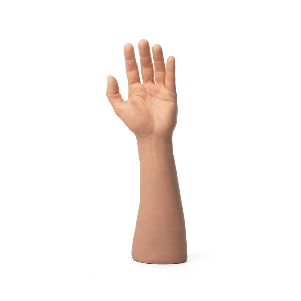 Single palm and forearm view of APOF Fitzpatrick tone 2 left arm upright on white background