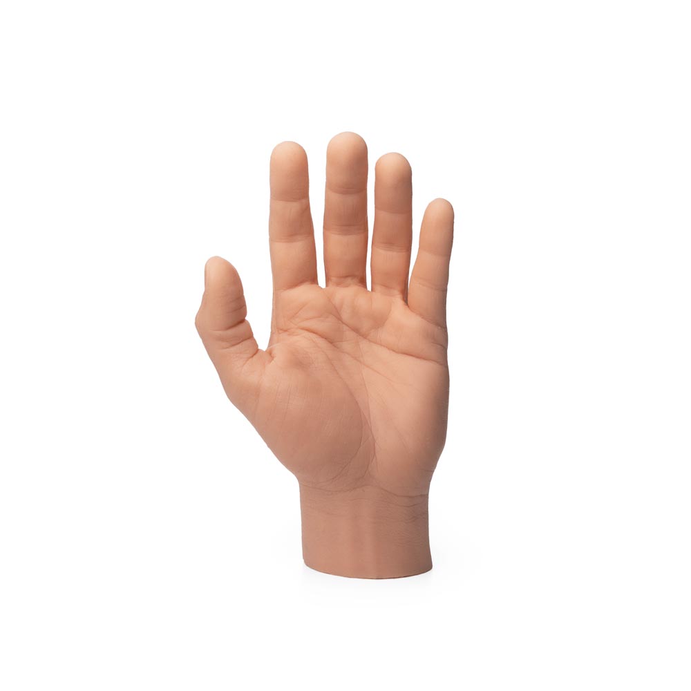 Palm of A Pound of Flesh Silicone Synthetic Left Hand with Wrist in Fitzpatrick Tone 3 upright on white background