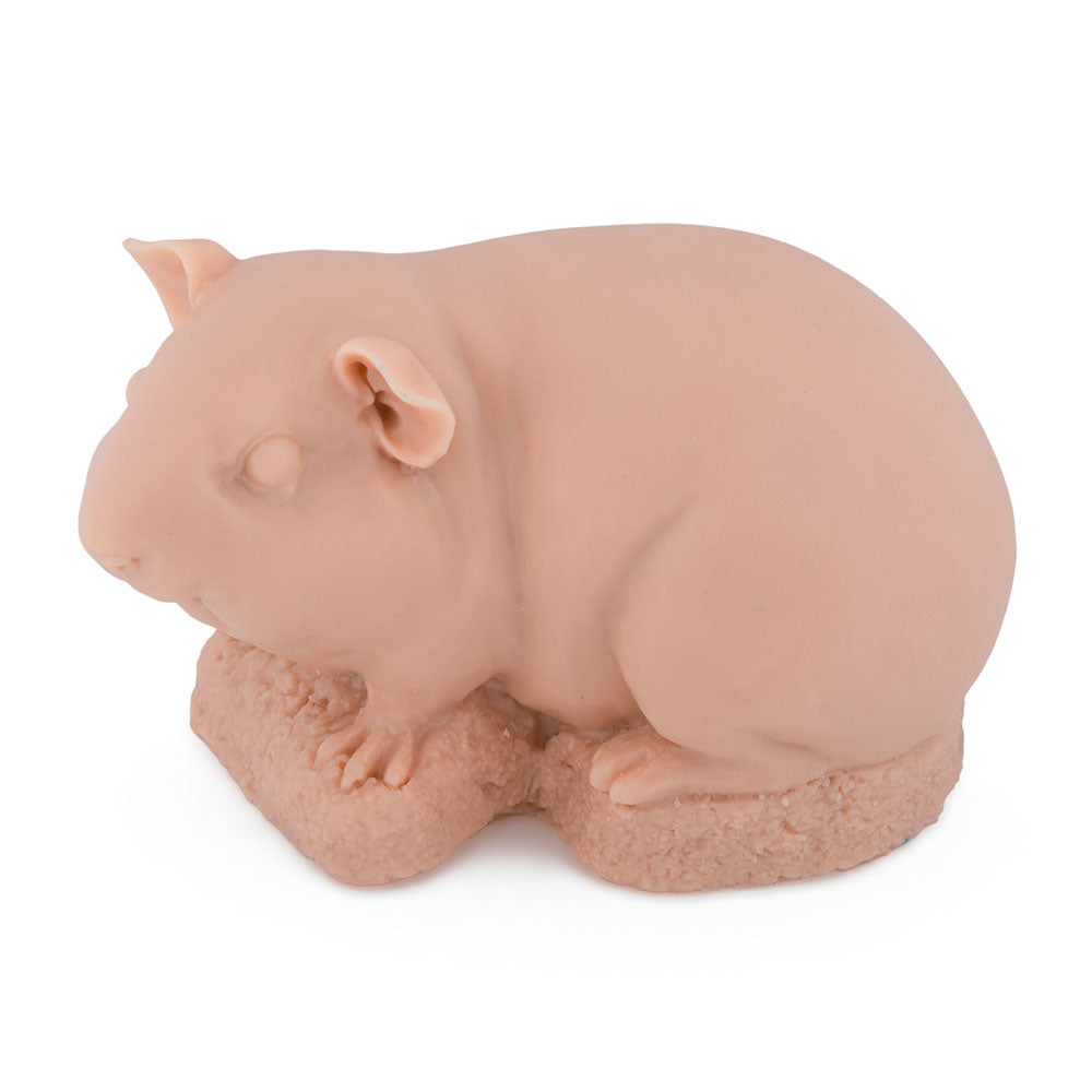 Guinea Pig — Aerial View