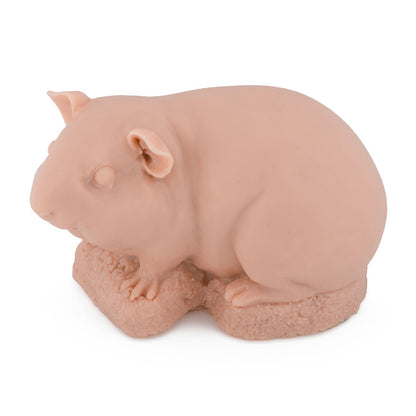 Guinea Pig — Aerial View