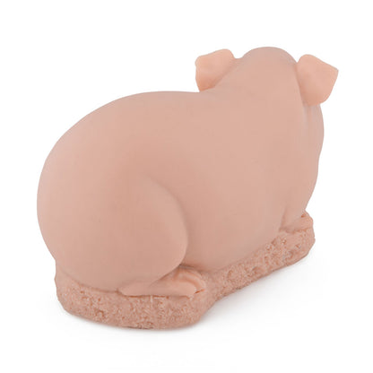 Guinea Pig — Back View