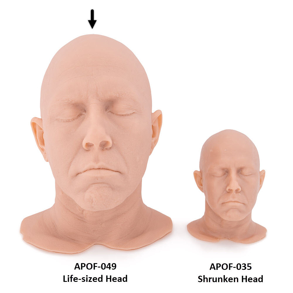 Jesse Heads Size Comparison