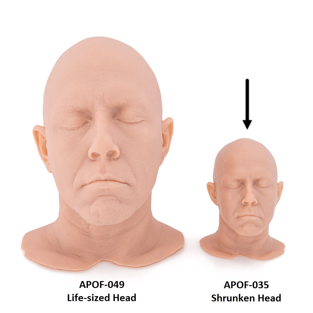 Jesse Heads Size Comparison